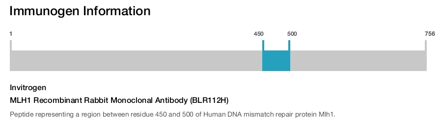 MLH1 Recombinant Rabbit Monoclonal Antibody (BLR112H)