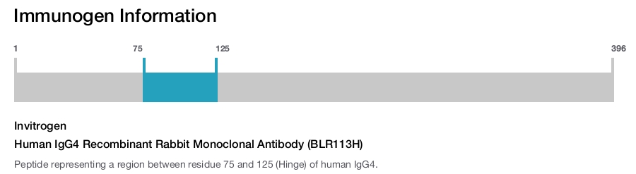 Human IgG4 Recombinant Rabbit Monoclonal Antibody (BLR113H)