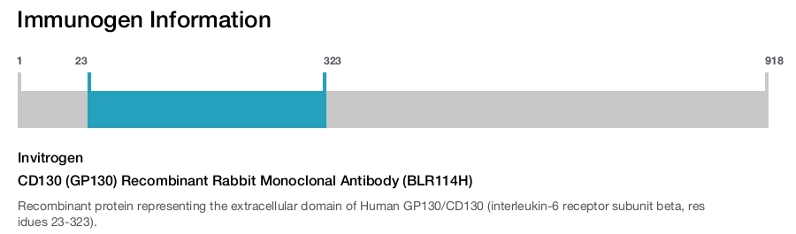 CD130 (GP130) Recombinant Rabbit Monoclonal Antibody (BLR114H)