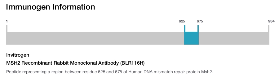 MSH2 Recombinant Rabbit Monoclonal Antibody (BLR116H)