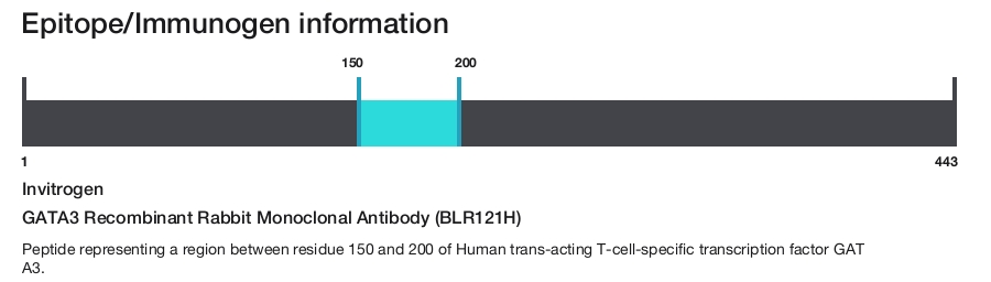 GATA3 Recombinant Rabbit Monoclonal Antibody (BLR121H)