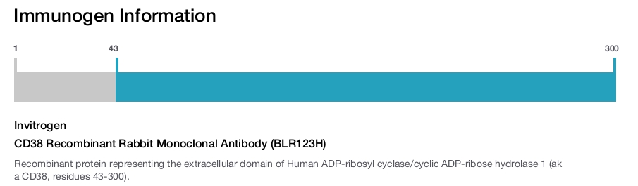 CD38 Recombinant Rabbit Monoclonal Antibody (BLR123H)