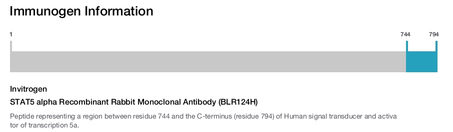 STAT5 alpha Recombinant Rabbit Monoclonal Antibody (BLR124H)