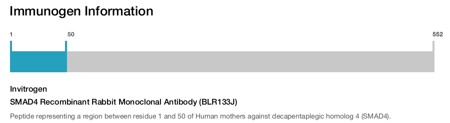 SMAD4 Recombinant Rabbit Monoclonal Antibody (BLR133J)