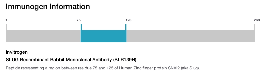 SLUG Recombinant Rabbit Monoclonal Antibody (BLR139H)