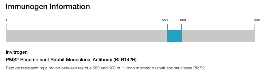 PMS2 Recombinant Rabbit Monoclonal Antibody (BLR142H)