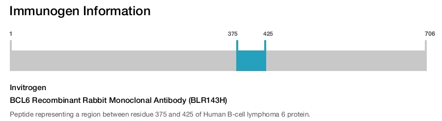 BCL6 Recombinant Rabbit Monoclonal Antibody (BLR143H)