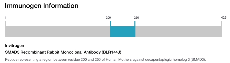 SMAD3 Recombinant Rabbit Monoclonal Antibody (BLR144J)