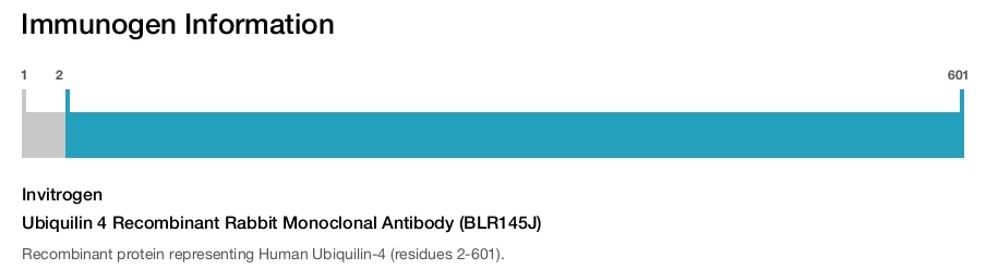 Ubiquilin 4 Recombinant Rabbit Monoclonal Antibody (BLR145J)