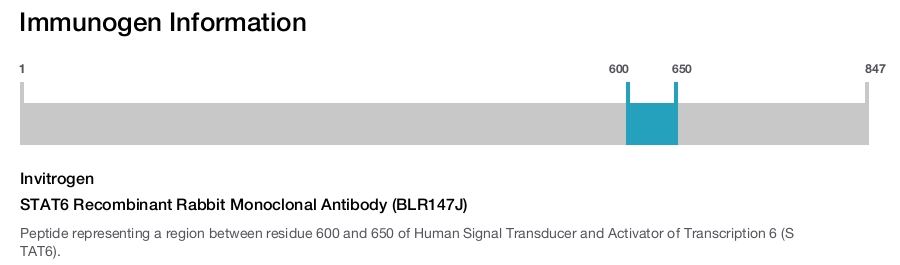 STAT6 Recombinant Rabbit Monoclonal Antibody (BLR147J)