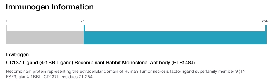 CD137 Ligand (4-1BB Ligand) Recombinant Rabbit Monoclonal Antibody (BLR148J)