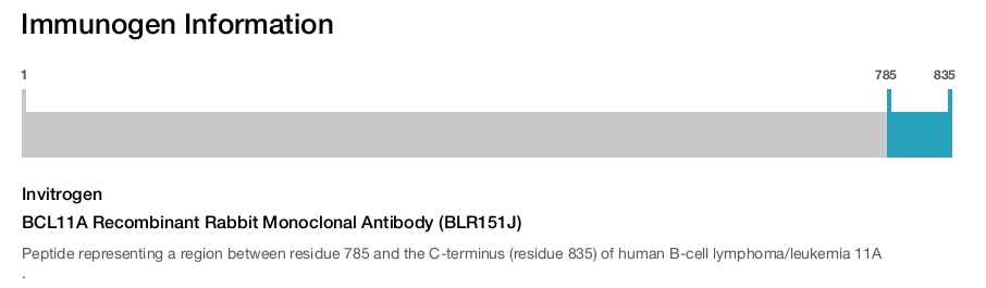 BCL11A Recombinant Rabbit Monoclonal Antibody (BLR151J)