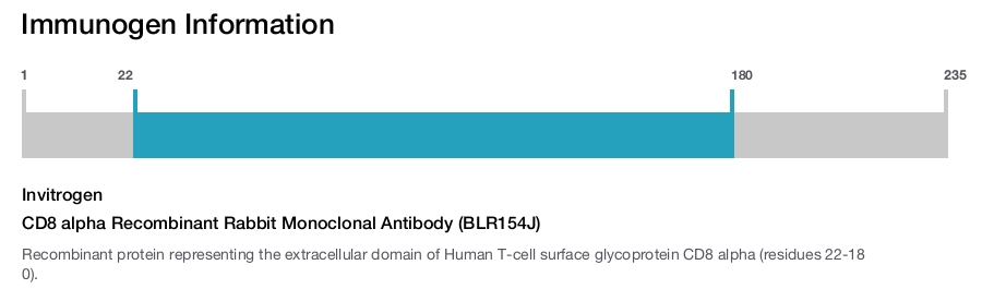 CD8 alpha Recombinant Rabbit Monoclonal Antibody (BLR154J)