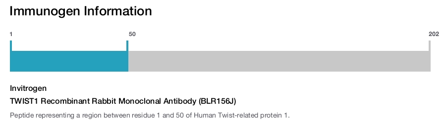TWIST1 Recombinant Rabbit Monoclonal Antibody (BLR156J)