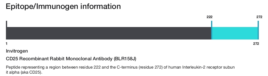 CD25 Recombinant Rabbit Monoclonal Antibody (BLR158J)