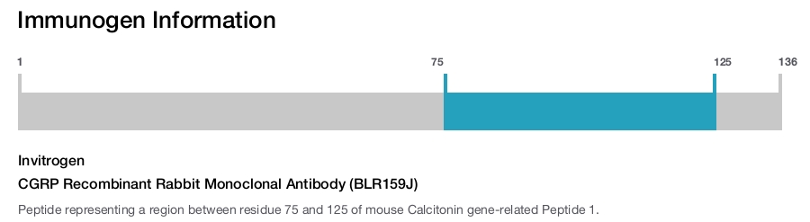 CGRP Recombinant Rabbit Monoclonal Antibody (BLR159J)