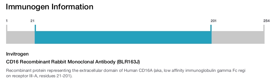 CD16 Recombinant Rabbit Monoclonal Antibody (BLR163J)