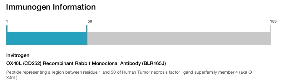 OX40L (CD252) Recombinant Rabbit Monoclonal Antibody (BLR165J)