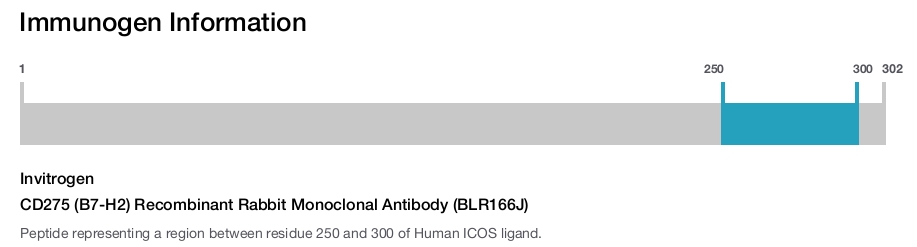 CD275 (B7-H2) Recombinant Rabbit Monoclonal Antibody (BLR166J)