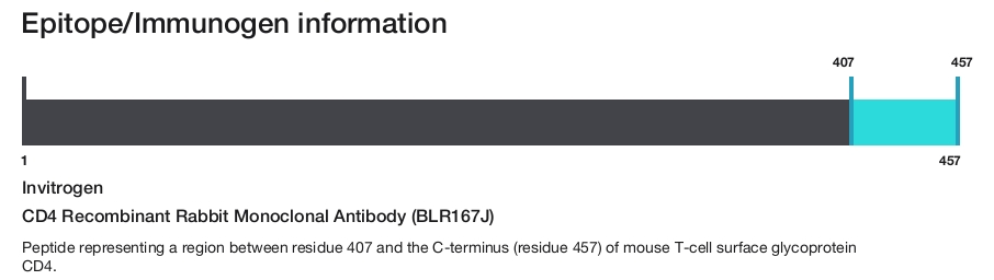 CD4 Recombinant Rabbit Monoclonal Antibody (BLR167J)