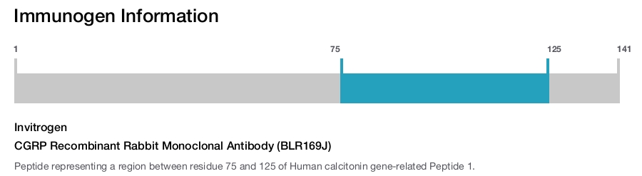 CGRP Recombinant Rabbit Monoclonal Antibody (BLR169J)