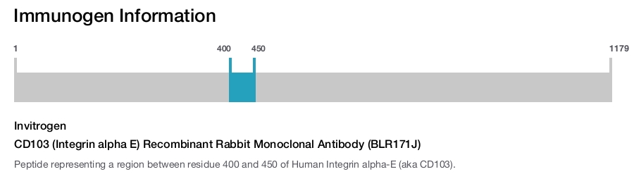 CD103 (Integrin alpha E) Recombinant Rabbit Monoclonal Antibody (BLR171J)