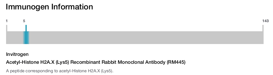 Acetyl-Histone H2A.X (Lys5) Recombinant Rabbit Monoclonal Antibody (RM445)