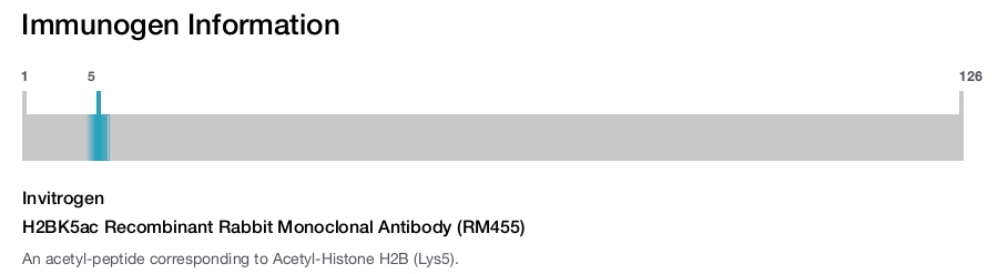H2BK5ac Recombinant Rabbit Monoclonal Antibody (RM455)