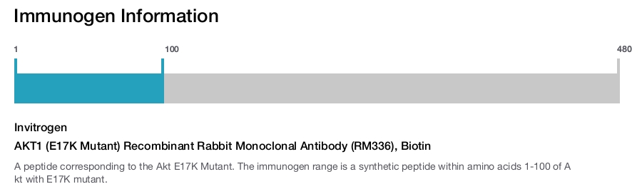 AKT1 (E17K Mutant) Recombinant Rabbit Monoclonal Antibody (RM336), Biotin