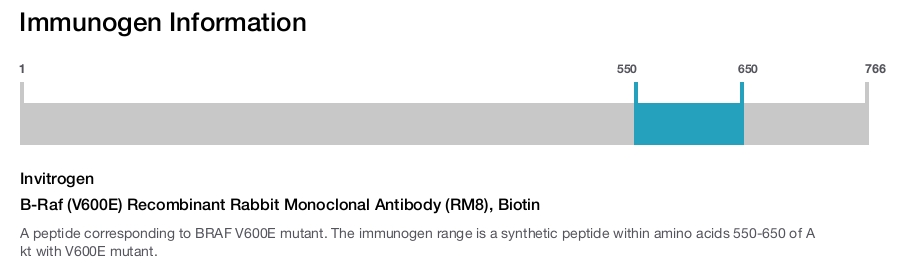 B-Raf (V600E) Recombinant Rabbit Monoclonal Antibody (RM8), Biotin