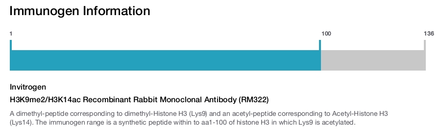 H3K9me2/H3K14ac Recombinant Rabbit Monoclonal Antibody (RM322)