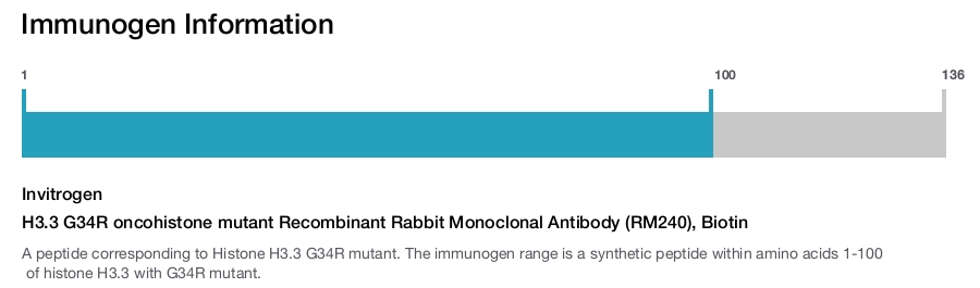 H3.3 G34R oncohistone mutant Recombinant Rabbit Monoclonal Antibody (RM240), Biotin