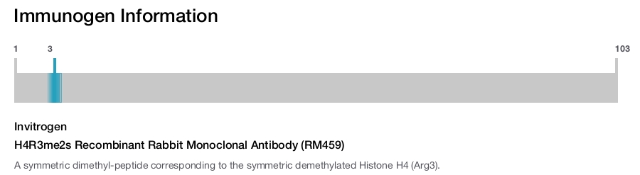 H4R3me2s Recombinant Rabbit Monoclonal Antibody (RM459)