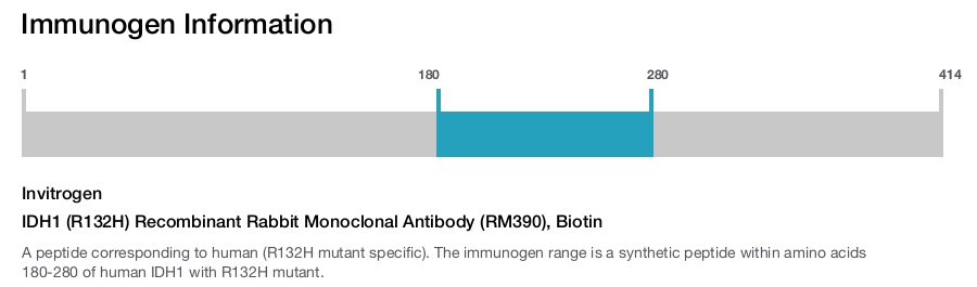 IDH1 (R132H) Recombinant Rabbit Monoclonal Antibody (RM390), Biotin