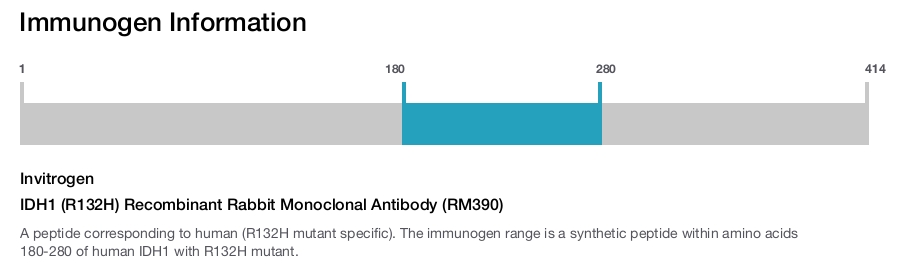 IDH1 (R132H) Recombinant Rabbit Monoclonal Antibody (RM390)