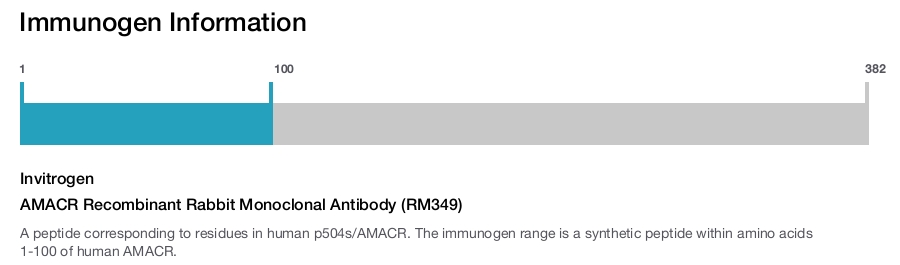 AMACR Recombinant Rabbit Monoclonal Antibody (RM349)