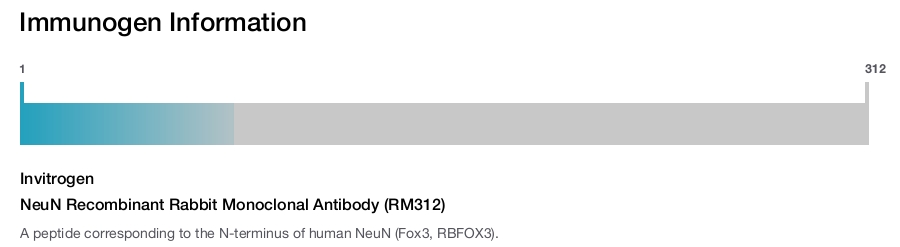 NeuN Recombinant Rabbit Monoclonal Antibody (RM312)