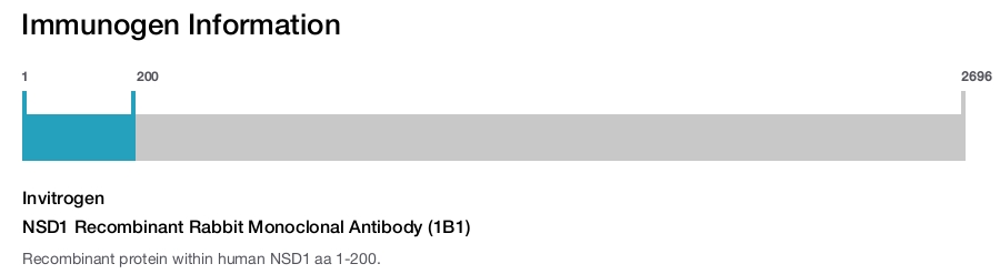 NSD1 Recombinant Rabbit Monoclonal Antibody (1B1)