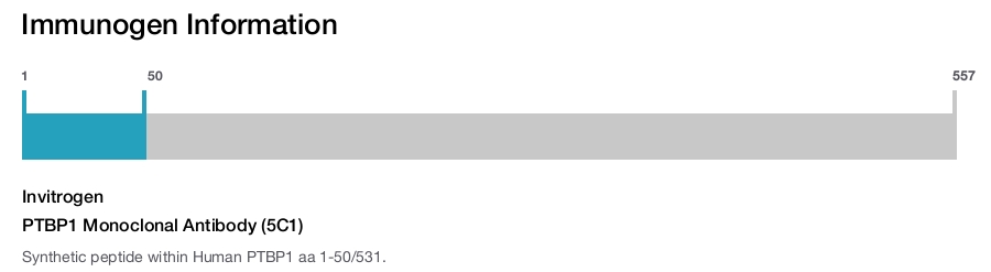 PTBP1 Monoclonal Antibody (5C1)