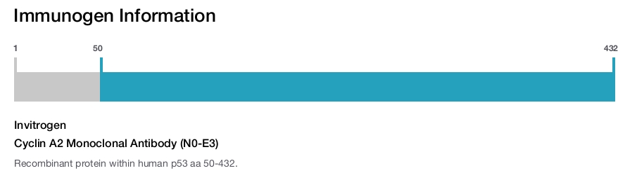Cyclin A2 Monoclonal Antibody (N0-E3)