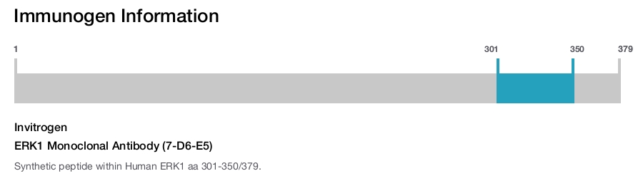 ERK1 Monoclonal Antibody (7-D6-E5)