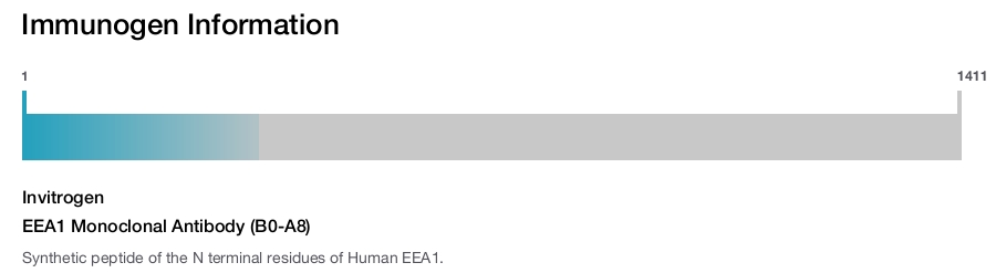 EEA1 Monoclonal Antibody (B0-A8)