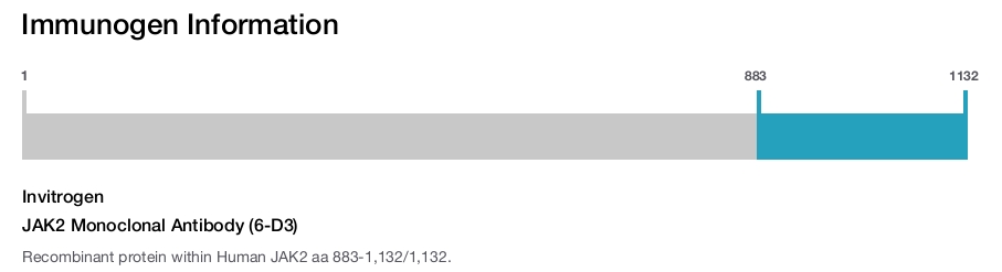 JAK2 Monoclonal Antibody (6-D3)
