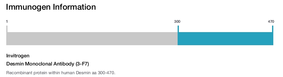 Desmin Monoclonal Antibody (3-F7)