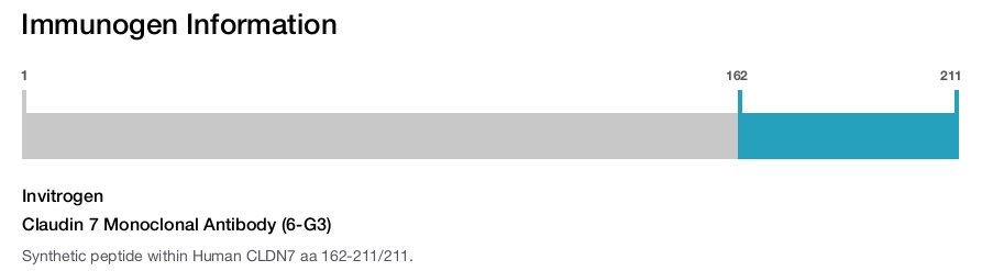 Claudin 7 Monoclonal Antibody (6-G3)