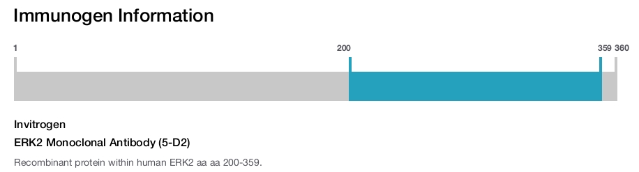 ERK2 Monoclonal Antibody (5-D2)