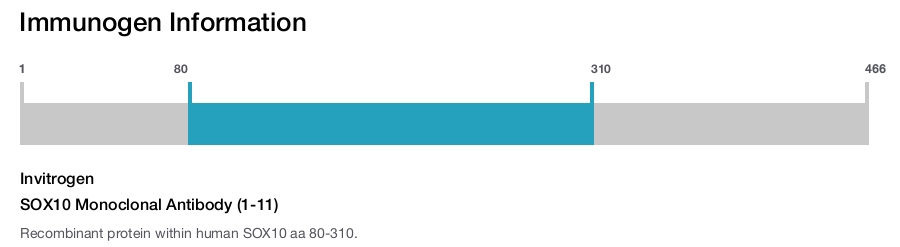 SOX10 Monoclonal Antibody (1-11)