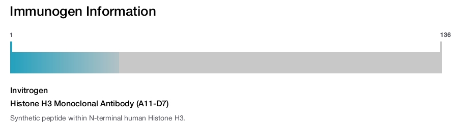 Histone H3 Monoclonal Antibody (A11-D7)