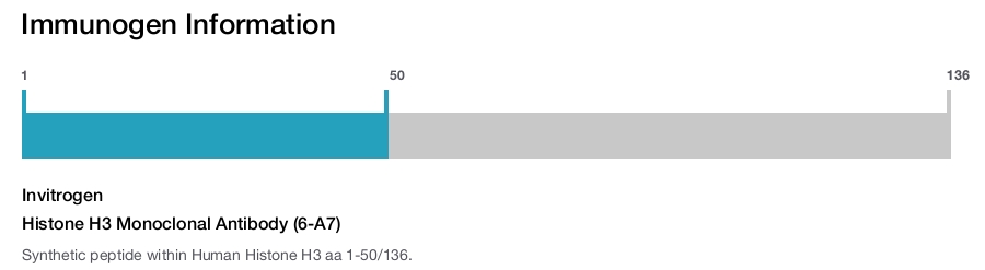 Histone H3 Monoclonal Antibody (6-A7)