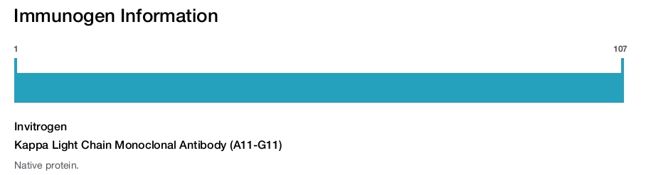 Kappa Light Chain Monoclonal Antibody (A11-G11)